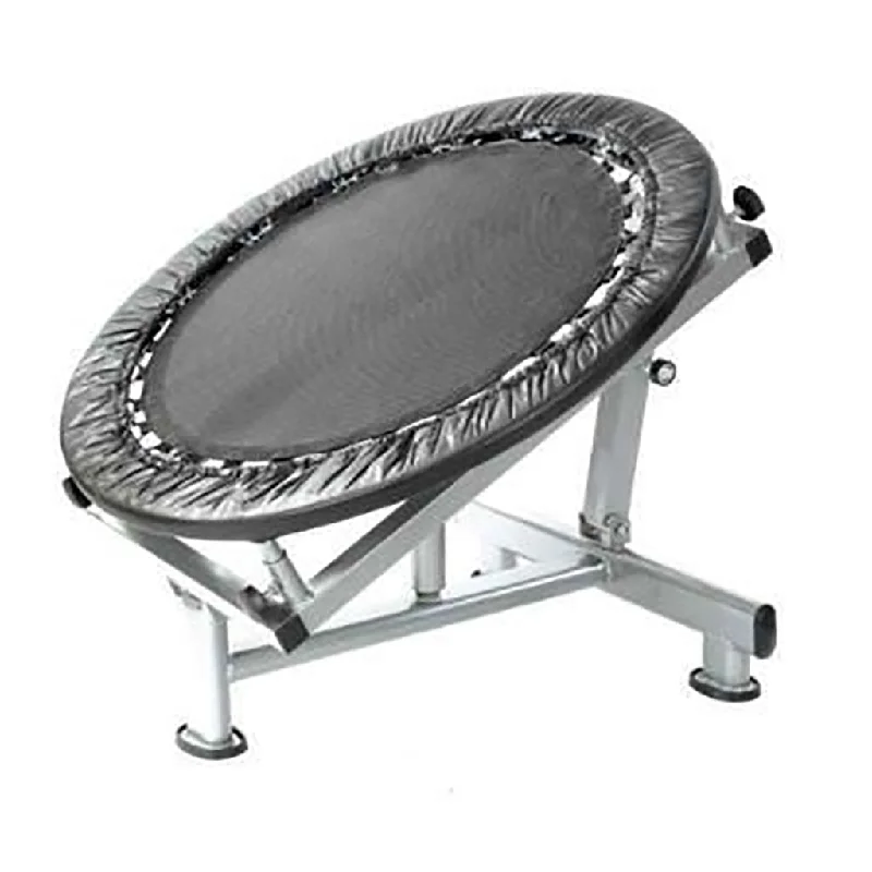One-DAY Sale Medicine Ball Rebounder